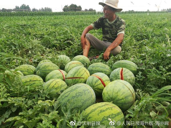 莱阳天气_山东莱阳天气情况