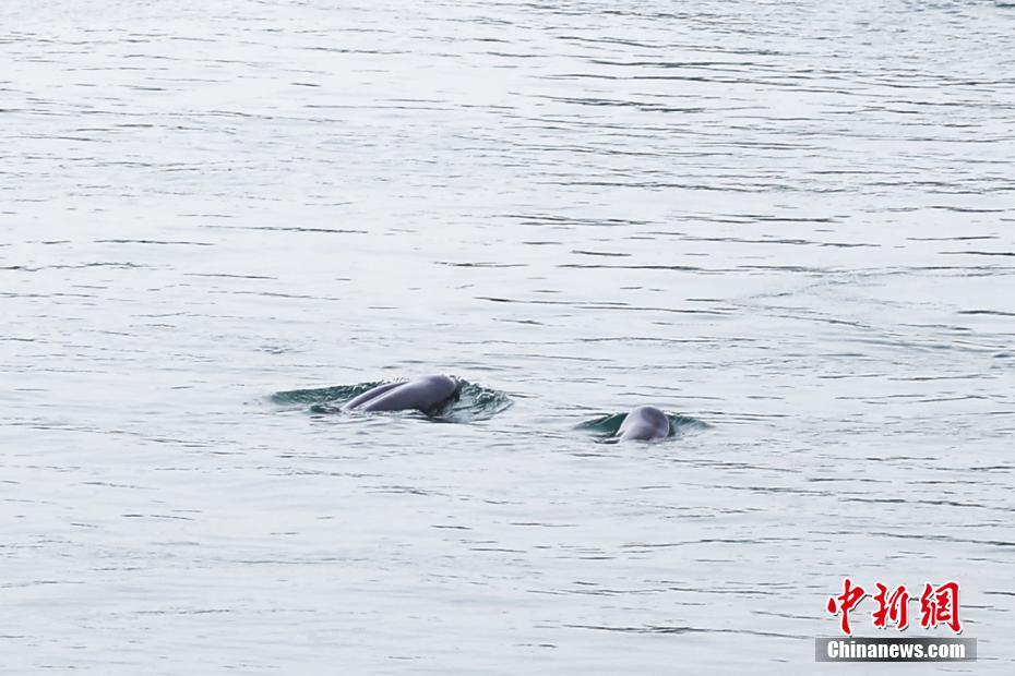 长海县天气_长海县五一天气预报