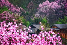 阜宁天气预报一周_阜宁县最近一周天气预报